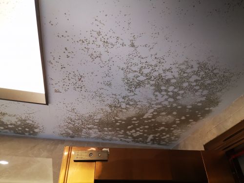 微信图片_20200617172234