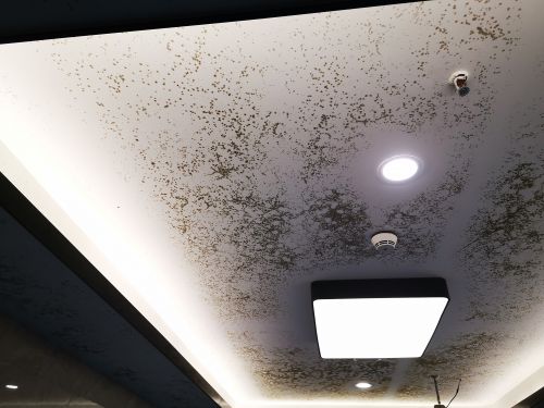 微信图片_20200617172226