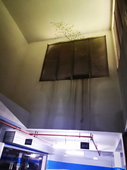 微信图片_20200617172255